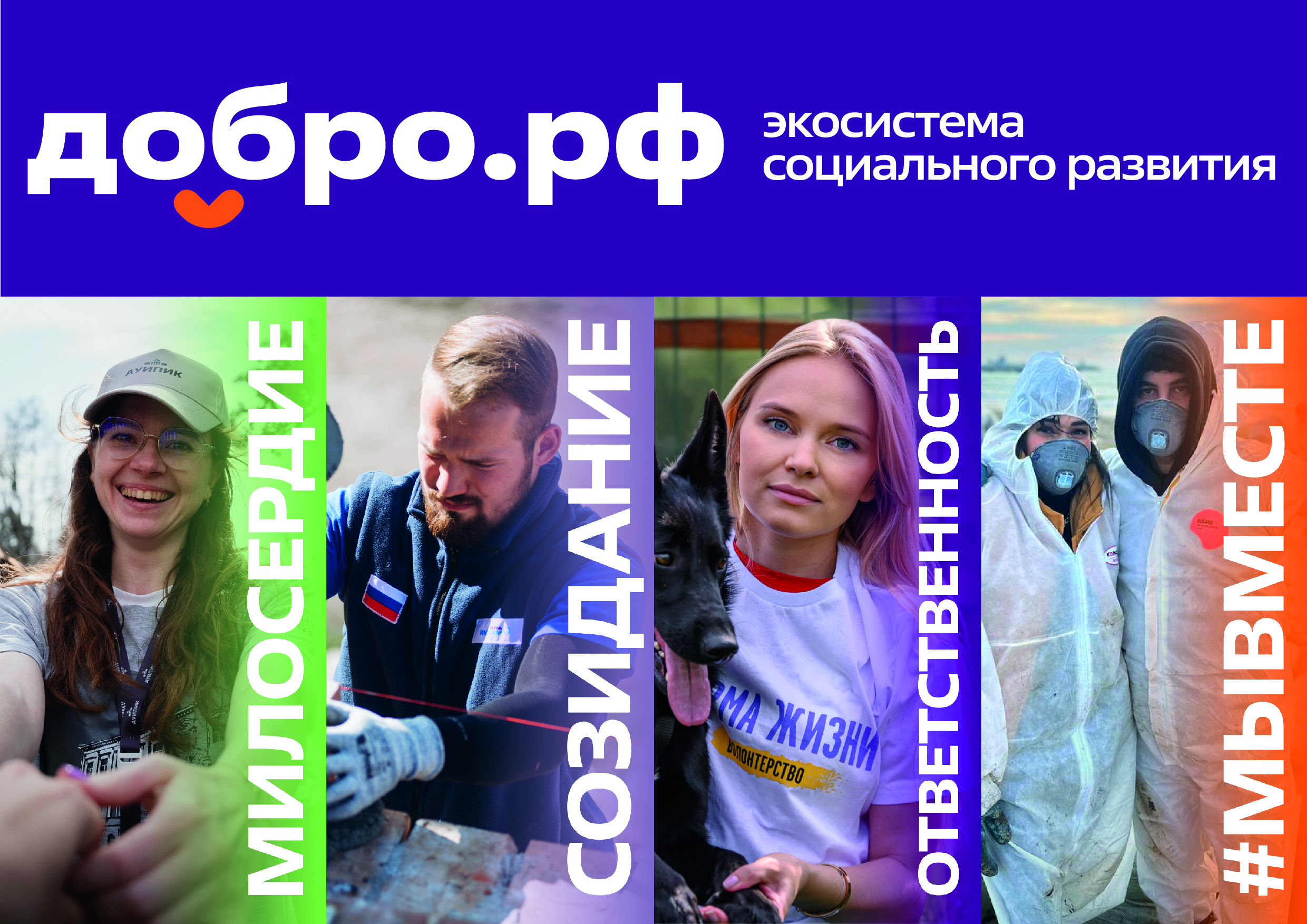 Главная
