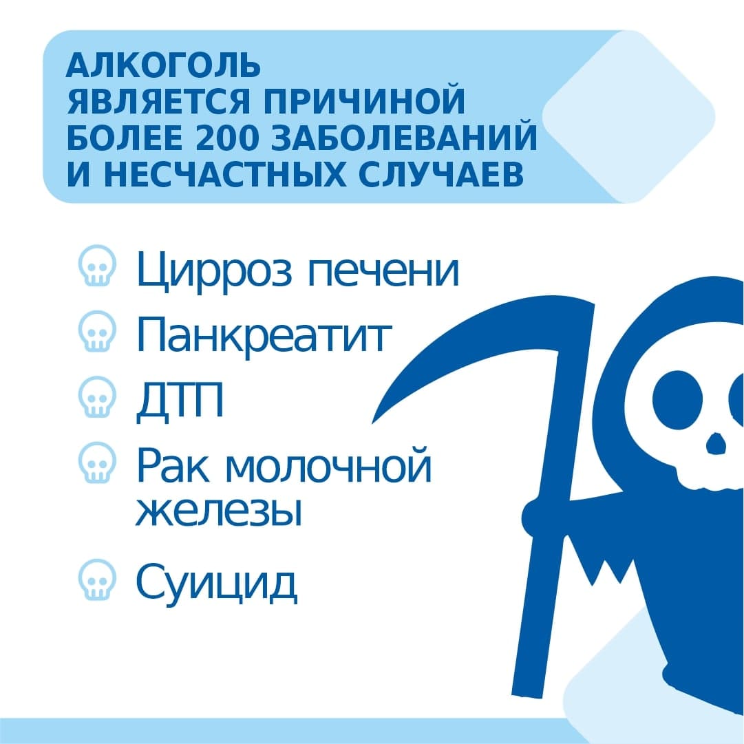 Главная